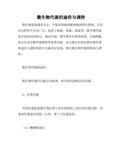 微生物代谢的途径与调控