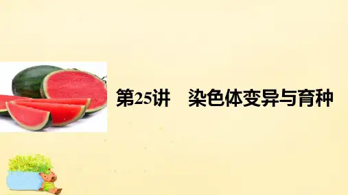 (全国通用)2017版高考生物一轮复习 第七单元 生物的变异、育种和进化 第25讲 染色体变异与育种