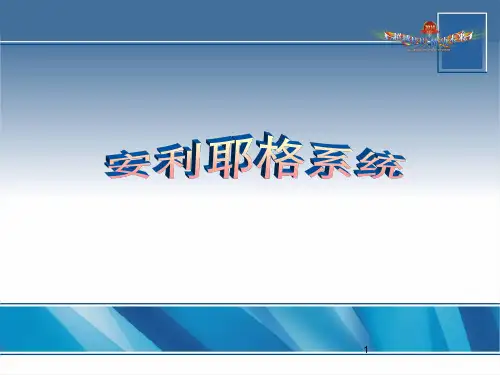 安利耶格系统 ppt课件