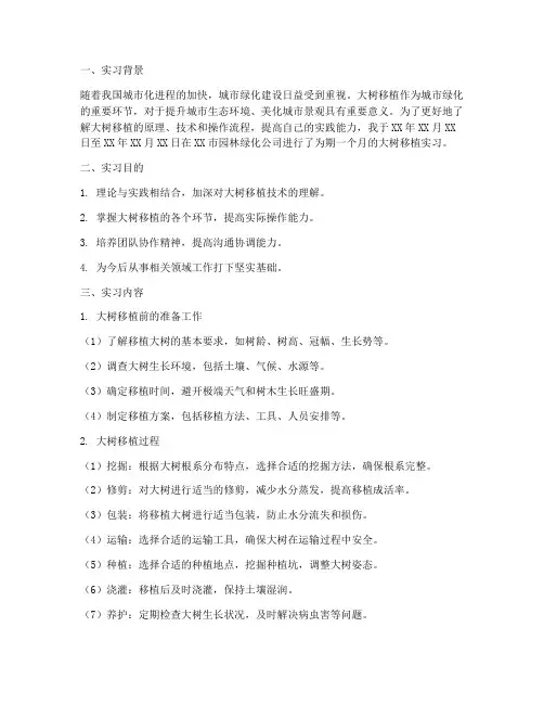 大树移植实习报告