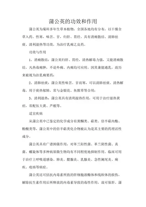 蒲公英的功效和作用