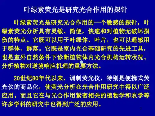 叶绿素荧光是光合作用研究的探针课件