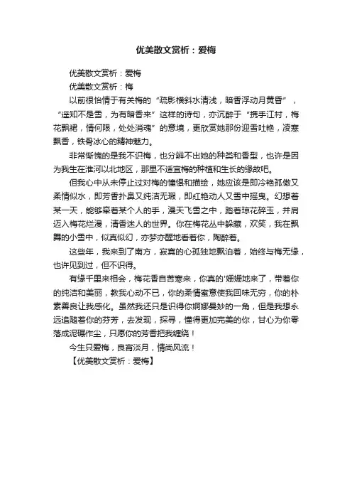 优美散文赏析:爱梅
