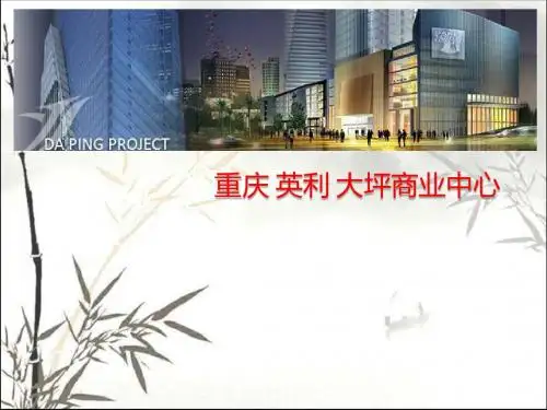 重庆英利大坪商业中心定位及商业策划方案 PPT