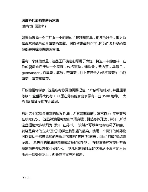 唇形科代表植物