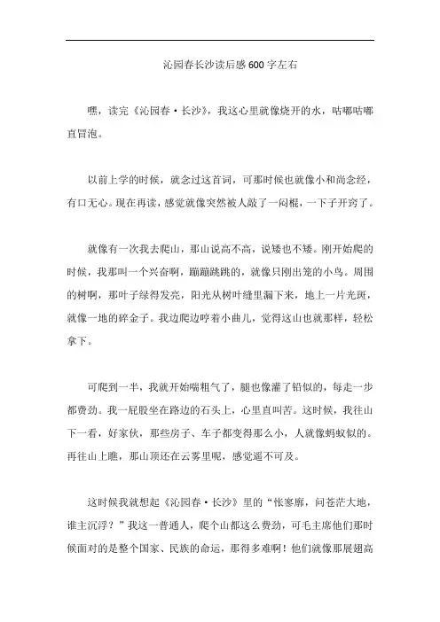 沁园春长沙读后感600字左右