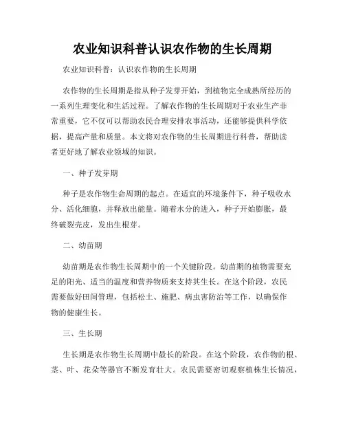 农业知识科普认识农作物的生长周期