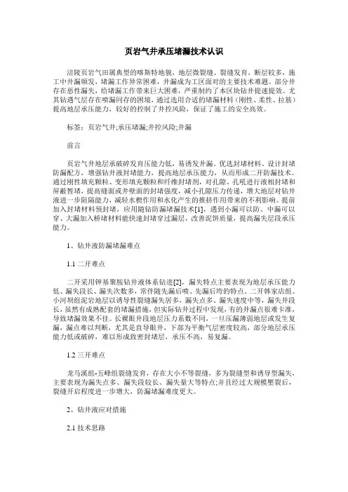 页岩气井承压堵漏技术认识