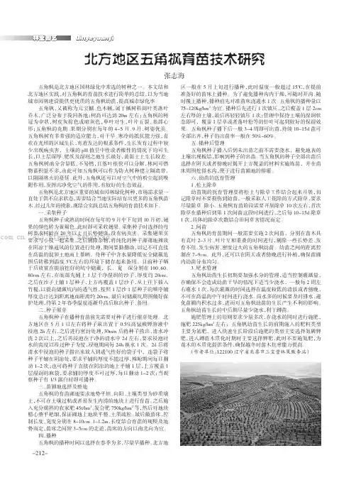 北方地区五角枫育苗技术研究