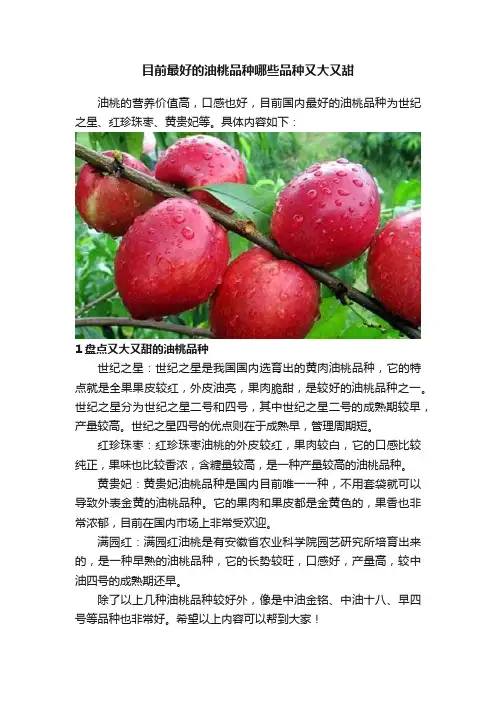 目前最好的油桃品种哪些品种又大又甜