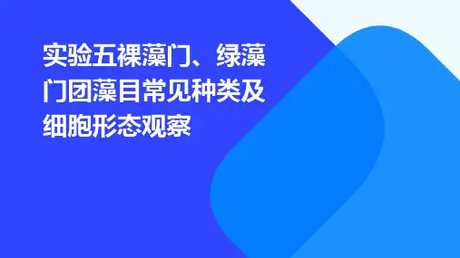 实验五裸藻门、绿藻门团藻目常见种类及细胞形态观察