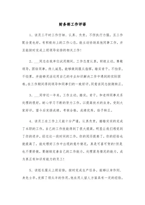 财务部工作评语（2篇）