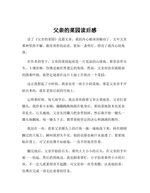 父亲的菜园读后感