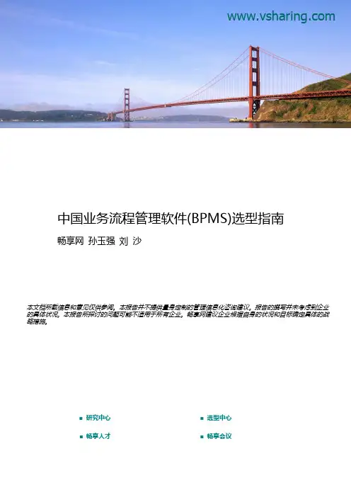 中国业务流程管理软件(BPMS)选型指南