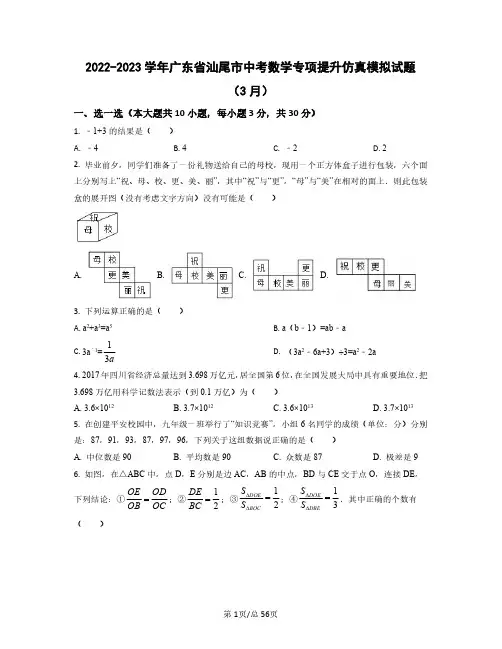 2022-2023学年广东省汕尾市中考数学专项提升仿真模拟试题(3月4月)含答案