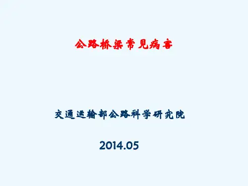 公路桥梁常见病害