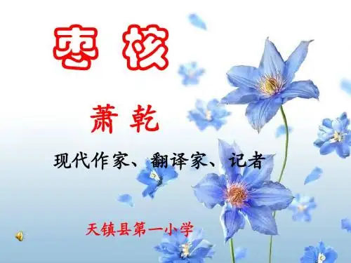 9课《枣核》课件