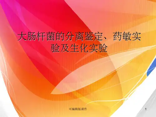 大肠杆菌的分离鉴定ppt课件