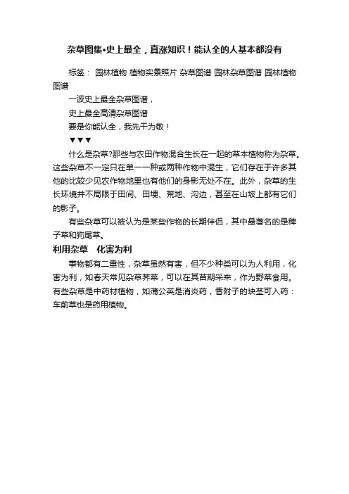 杂草图集·史上最全，真涨知识！能认全的人基本都没有