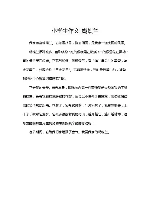 小学生作文 蝴蝶兰