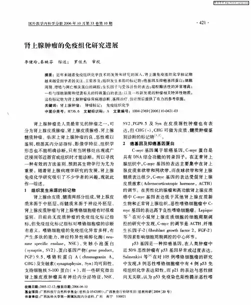 肾上腺肿瘤的免疫组化研究进展