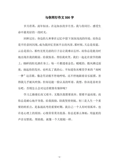与你同行作文500字