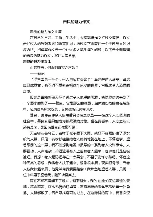 善良的魅力作文