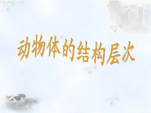 动物体的结构层次
