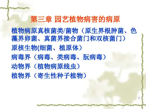 园艺植物病理学  第三章(1)园艺植物病害的病原-植物病原真菌