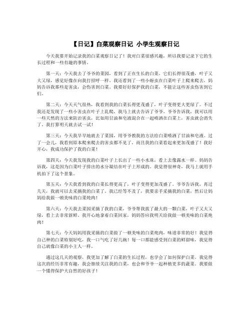 【日记】白菜观察日记 小学生观察日记