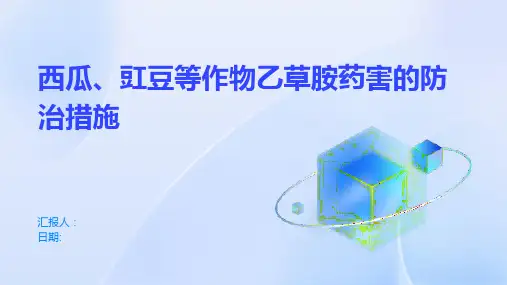 西瓜、豇豆等作物乙草胺药害的防治措施