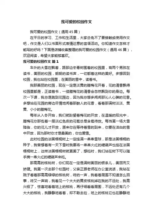 我可爱的校园作文