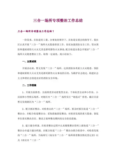 三合一场所专项整治工作总结_1