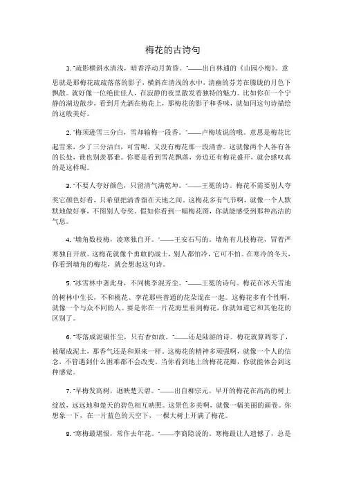 梅花的古诗句