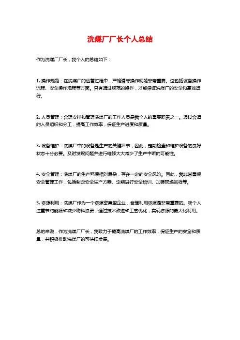 洗煤厂厂长个人总结