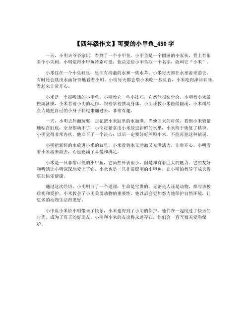【四年级作文】可爱的小甲鱼_450字