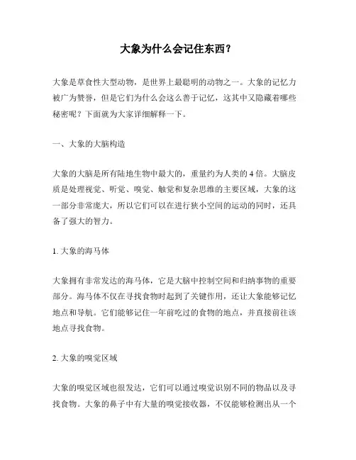 大象为什么会记住东西？