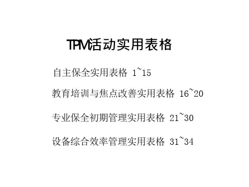 TPM标准表格大全 预览