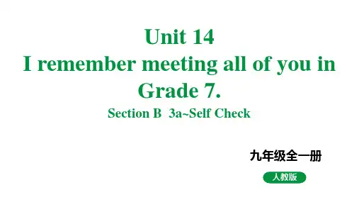 人教新目标版九全英语 Unit14 SectionB 3a~SelfCheck 教学课件