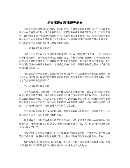 河道底泥的环境研究简介