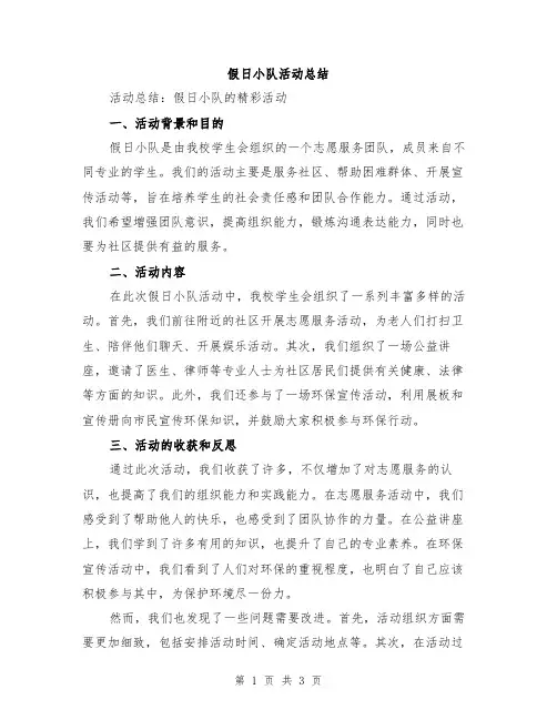 假日小队活动总结