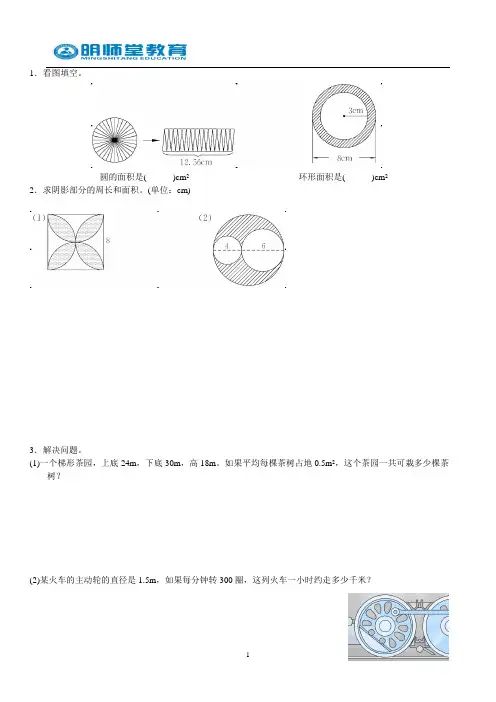 平面图形周长和面积--综合考点测试