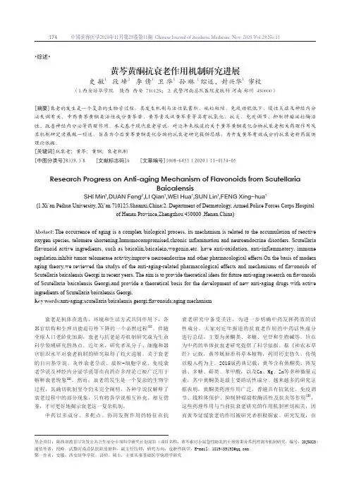 黄芩黄酮抗衰老作用机制研究进展