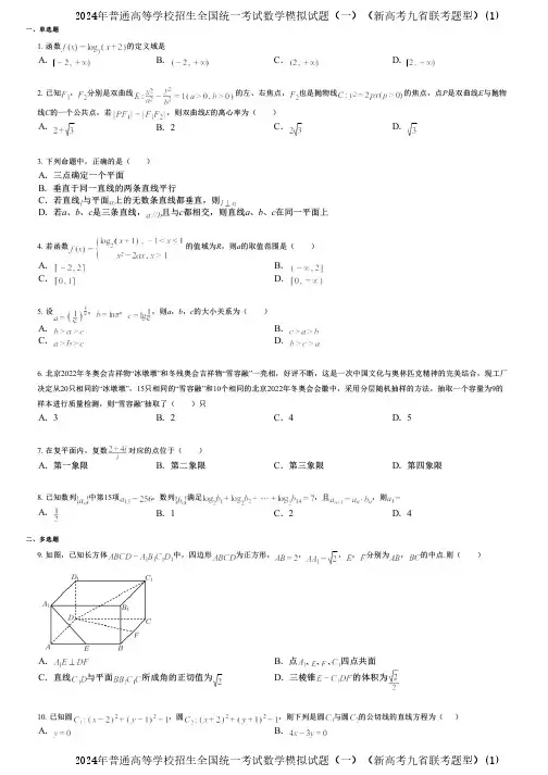2024年普通高等学校招生全国统一考试数学模拟试题(一)(新高考九省联考题型)(1)