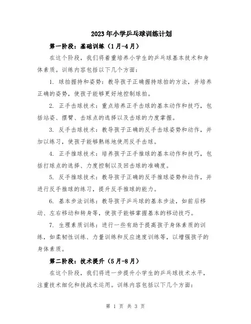 2023年小学乒乓球训练计划