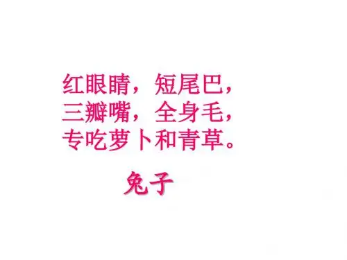 小白兔和小灰兔课件ppt课件