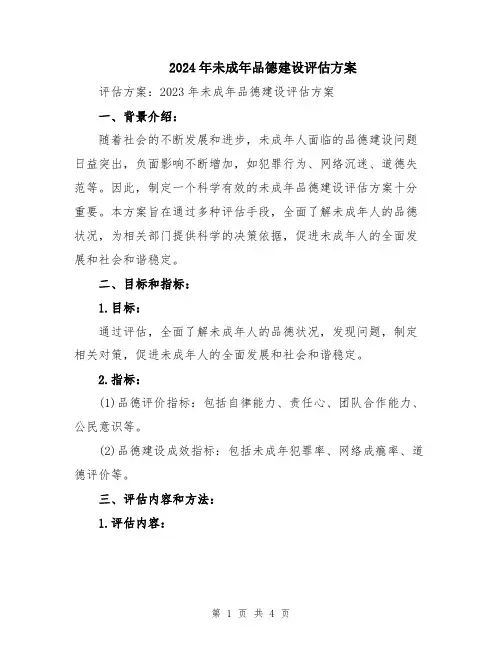 2024年未成年品德建设评估方案