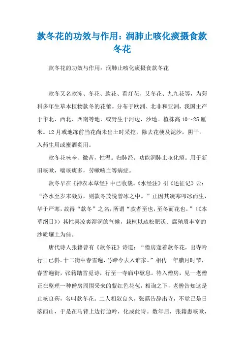款冬花的功效与作用：润肺止咳化痰摄食款冬花