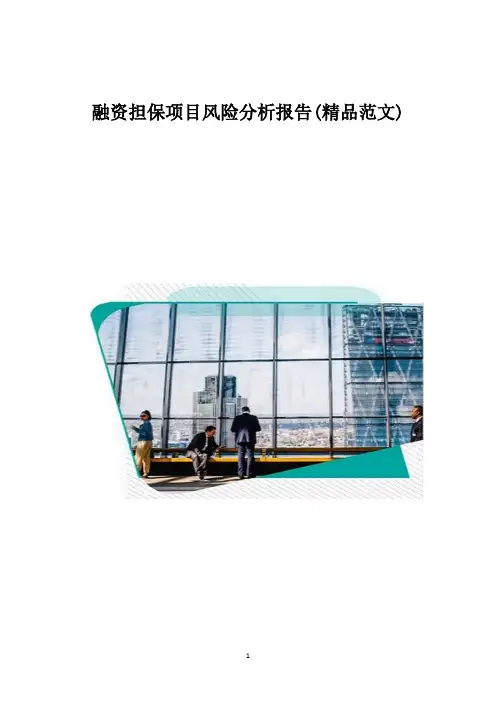 融资担保项目风险分析报告(精品范文)