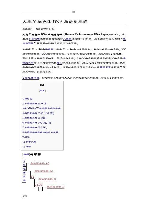人类Y染色体DNA单倍型类群